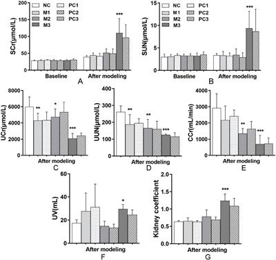 Evaluating renal injury characteristics in different rat models of hyperuricemia and elucidating pathological molecular mechanisms via serum metabolomics